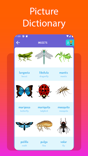 Spanish for Kids & Beginners – Learn Spanish Words Screenshot 3