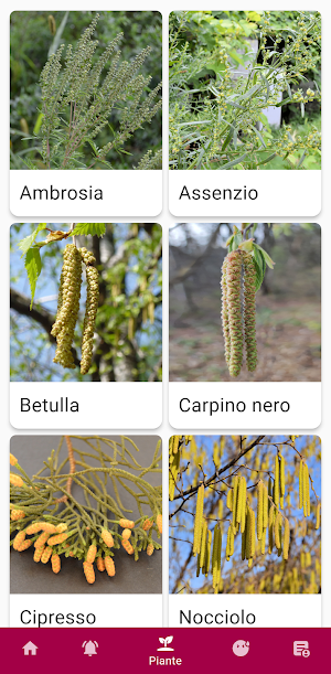 PolliniTrentino Screenshot 2