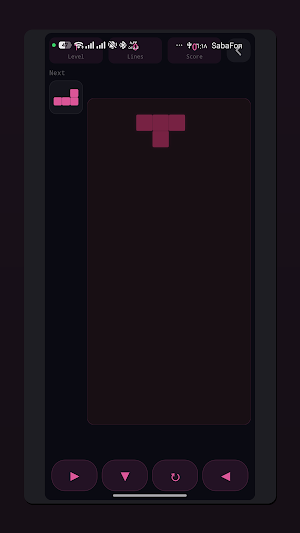 Block Puzzle Classic Screenshot 1