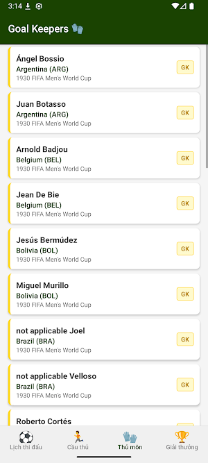 Fun World Cup Screenshot 3