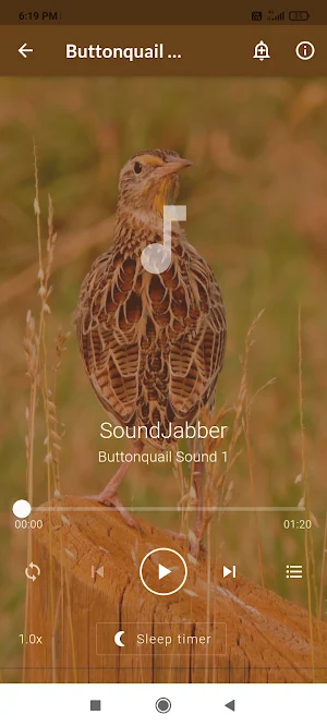 Buttonquail Sounds Screenshot 1
