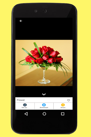 Flower Images Screenshot 2