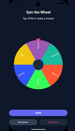 Decision Wheel Screenshot 2