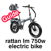 Rattan LM 750w E. Bike Guide