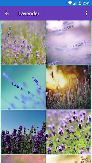 Cactus, Iris, Lavender, Lilac  Screenshot 2