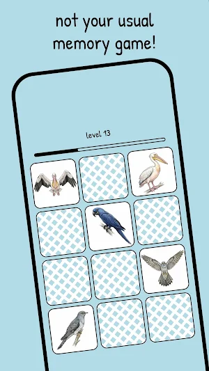 memolki • birds Screenshot 0