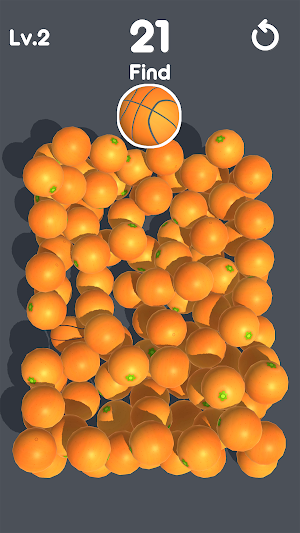 Find The Object! Screenshot 1