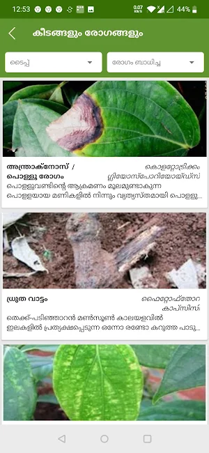 INDIAN PEPPER FARMERS APP - IPC Screenshot 1