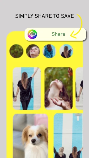 Instant All Video Downloader Screenshot 1