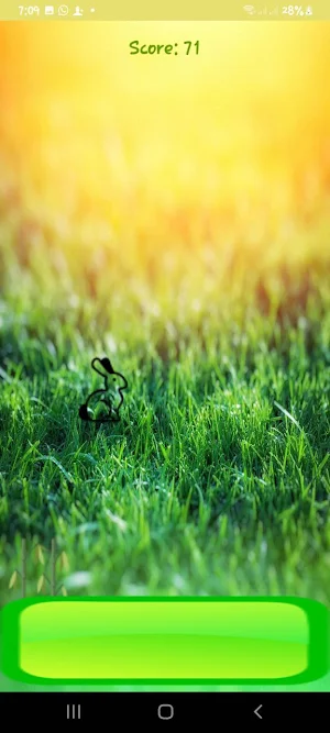 Bunny Game Screenshot 2