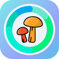 DeepMush - AI Mushroom Classif