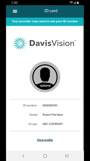 Davis Vision Screenshot 2