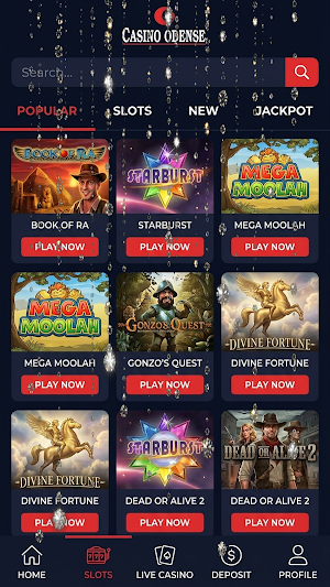 Casino Odense Screenshot 3
