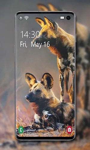 Animal Wallpapers 🦁🦓🐘 Screenshot 1
