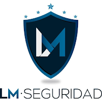 LM Seguridad Qr
