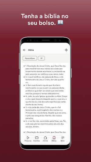 IBPJ Screenshot 2