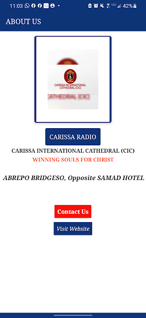 Carissa Radio Screenshot 3