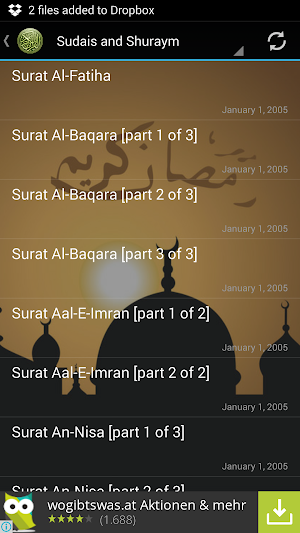 Quran Urdu Audio Translation Screenshot 1
