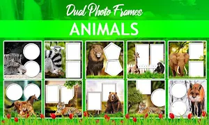 Dual Photo Frames 2020 Screenshot 2