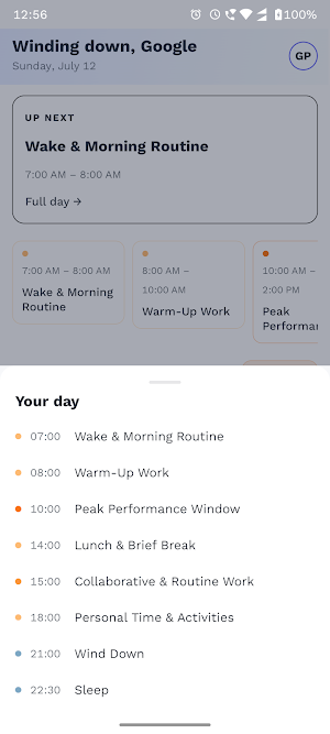 DayWise Screenshot 0