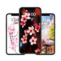 Sakura Wallpapers 2024