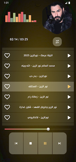 اغاني نور الزين 2025 بدون نت Screenshot 3