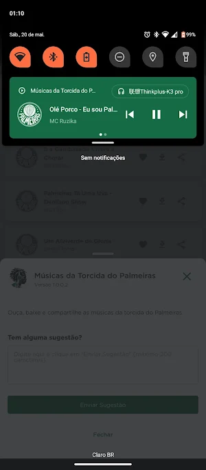 Músicas do Palmeiras Screenshot 2