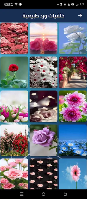 خلفيات ورد Screenshot 0