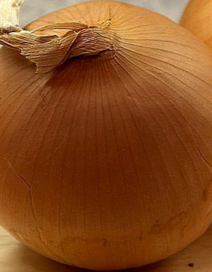 Onion Food Screenshot 1