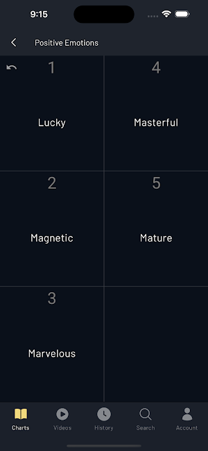 SBT Energy Therapy Screenshot 2