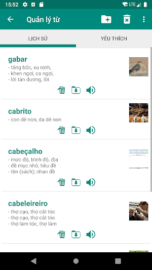 Portuguese Vietnamese Dictionary Screenshot 2