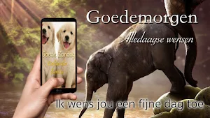 Good Morning Everyday Greetings in Dutch Screenshot 1