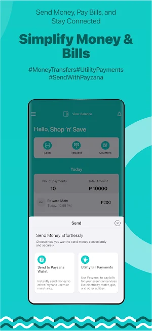 Payzana Business Screenshot 2