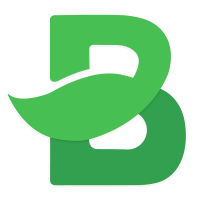 Budgetarian