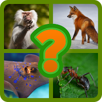 Animals world | guess names