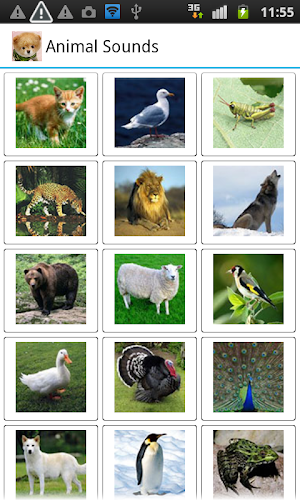 Animal Sounds Screenshot 3