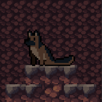 Canine Climb