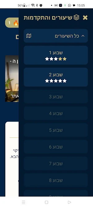האיזון הדיגיטלי Screenshot 1