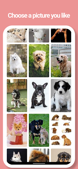 Puppy, Dog Wallpapers - Picture, Movie Screenshot 0