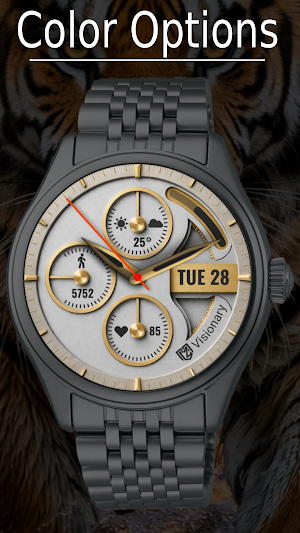 Classic Watch Face Screenshot 1