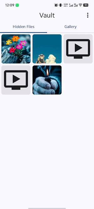 Vault – Hide Photos & Videos Screenshot 2
