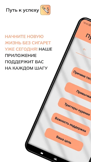 Путь к успеху Screenshot 0