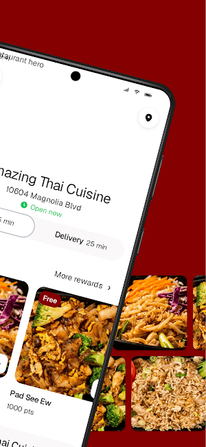 Amazing Thai Cuisine Screenshot 1