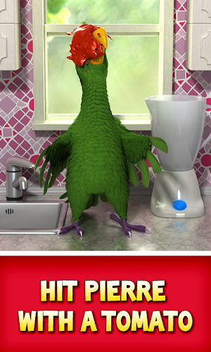 Talking Pierre the Parrot Screenshot 2