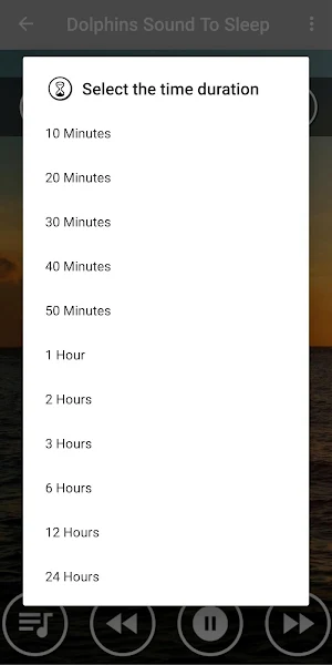 Soothing Dolphin Sounds for Stress Relief Screenshot 2