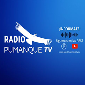 RADIO PUMANQUE TV Screenshot 0