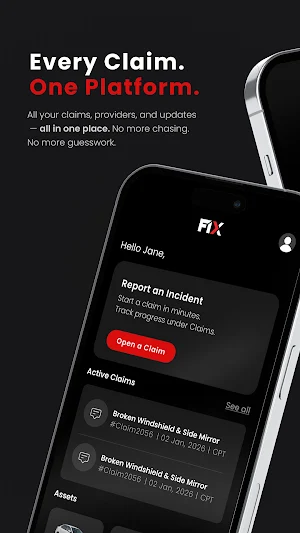 F1X Screenshot 0