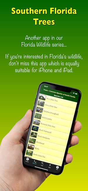 Southern Florida Trees Screenshot 0