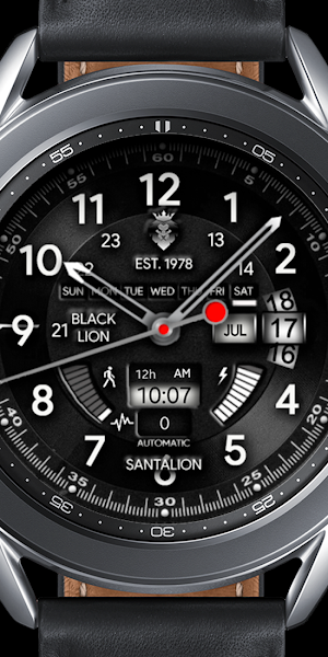 Black Lion by SANTALiON Screenshot 0