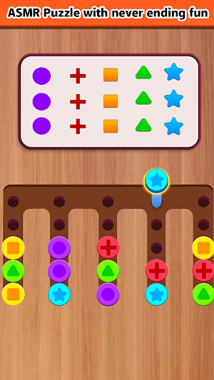 Screw Match Puzzle Screenshot 3